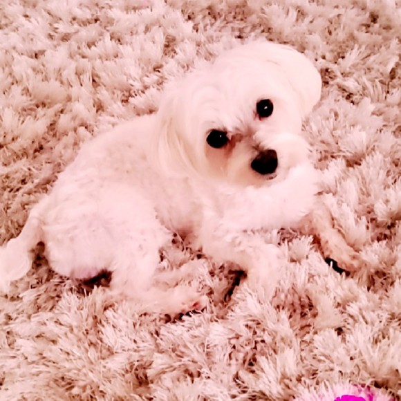 Meet your Posher, Patricia - Picture 1 of 1